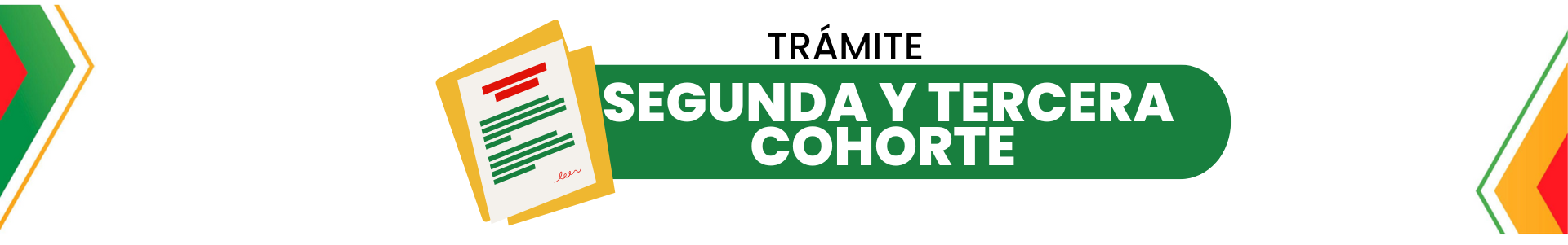 2 Y 3 cohorte