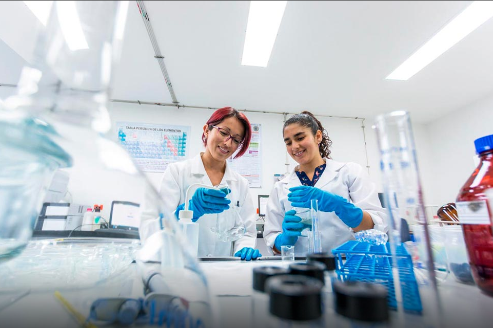 investigadores Investigación, Universidad de Nariño