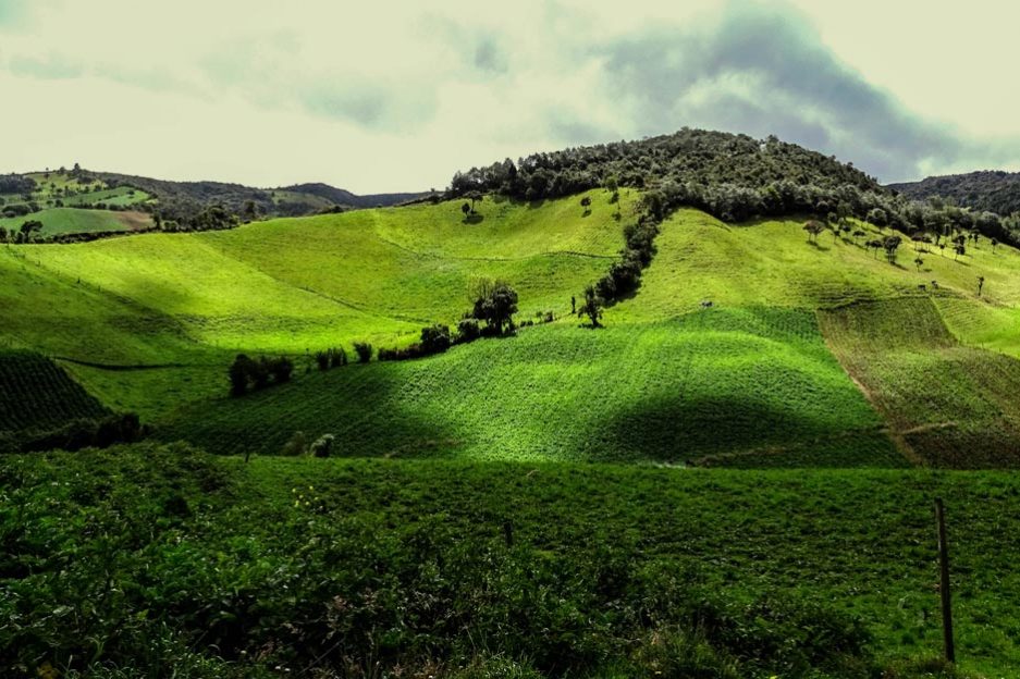 paramos-parte-2-principal-udenar-periodico