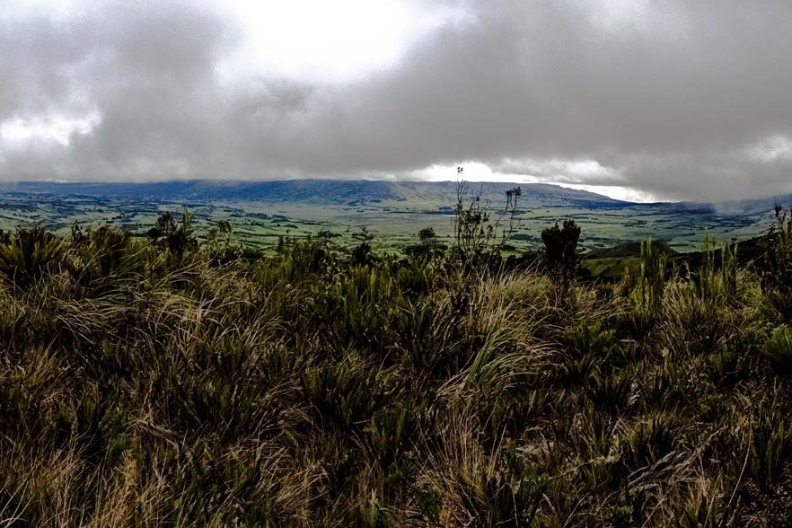 paramos-udenar-periodico