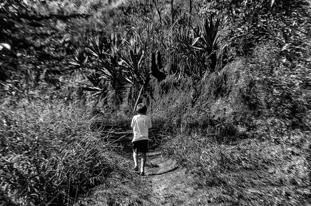 resiliencia-conflicto-udenar-periodico