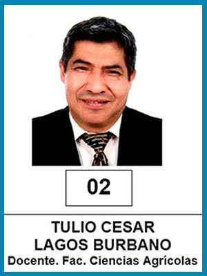 Tulio Cesar Lagos Burbano