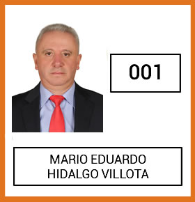 director-economia