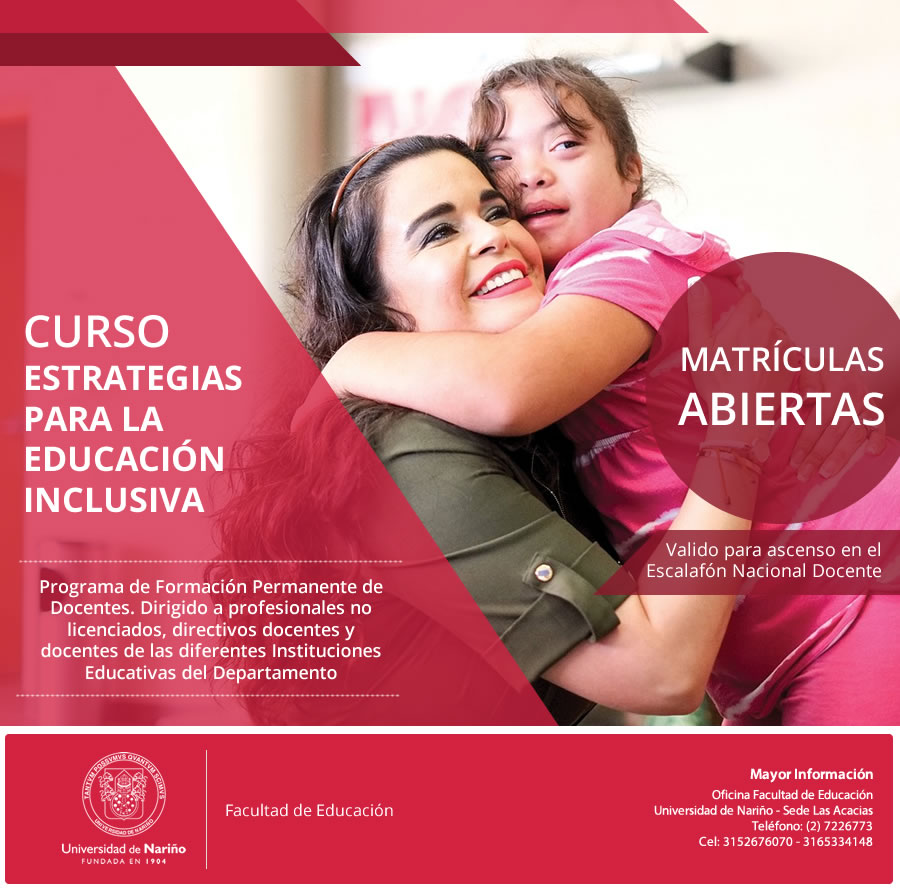 afiche-curso-inclusion