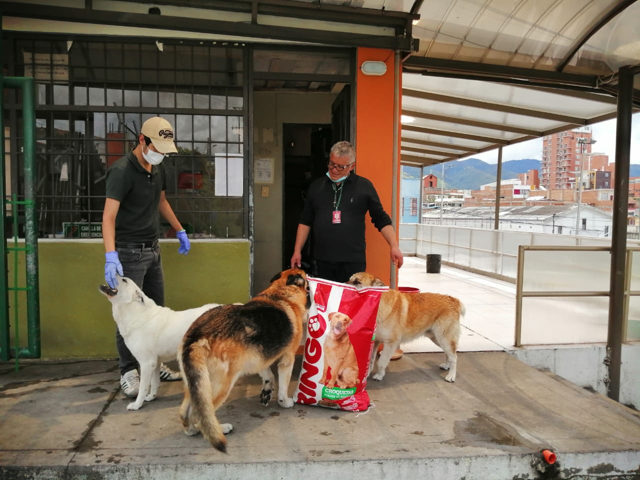 WhatsApp Image 2020-04-15 at 19.02.44