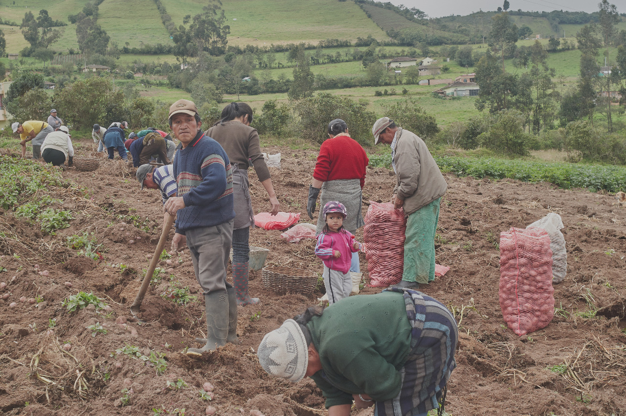 Producción