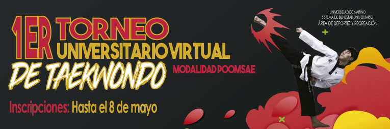 Taekwondo-virtual-765