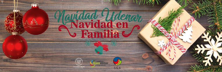 banner-navidad-udenar