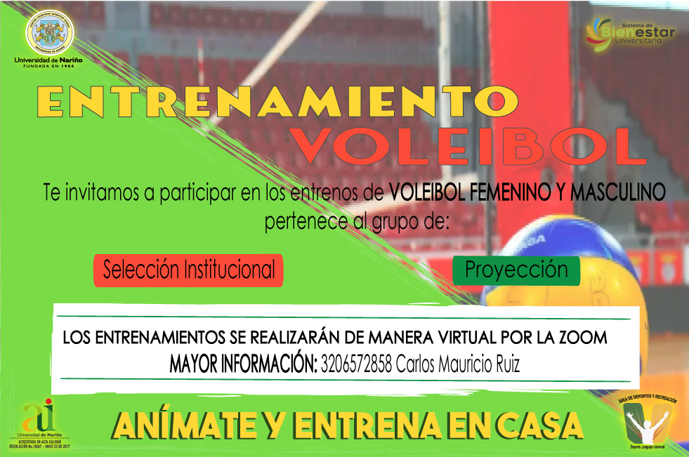 voleibol