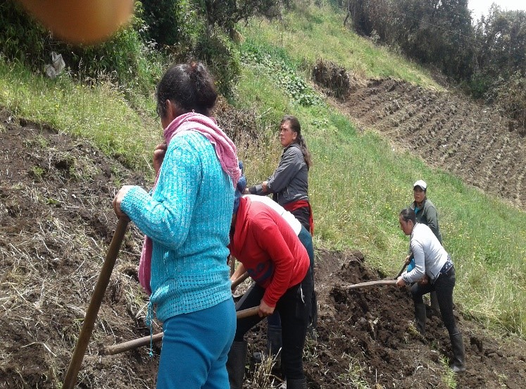 Minga de trabajo con padres de familia y estudiante.