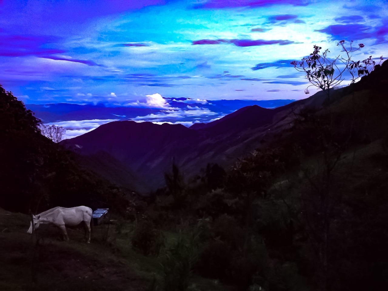 Una visita al corazón de Los Andes.