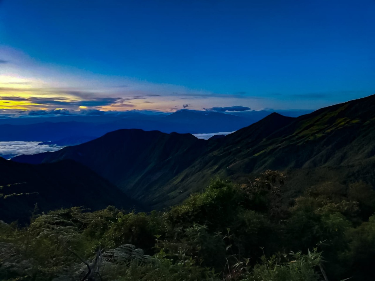 Reconocimiento de la biodiversidad Andina.