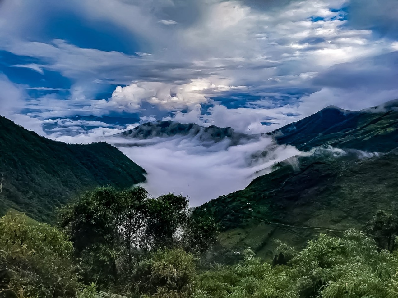 Paramo Cerro Negro, municipio de Los Andes.