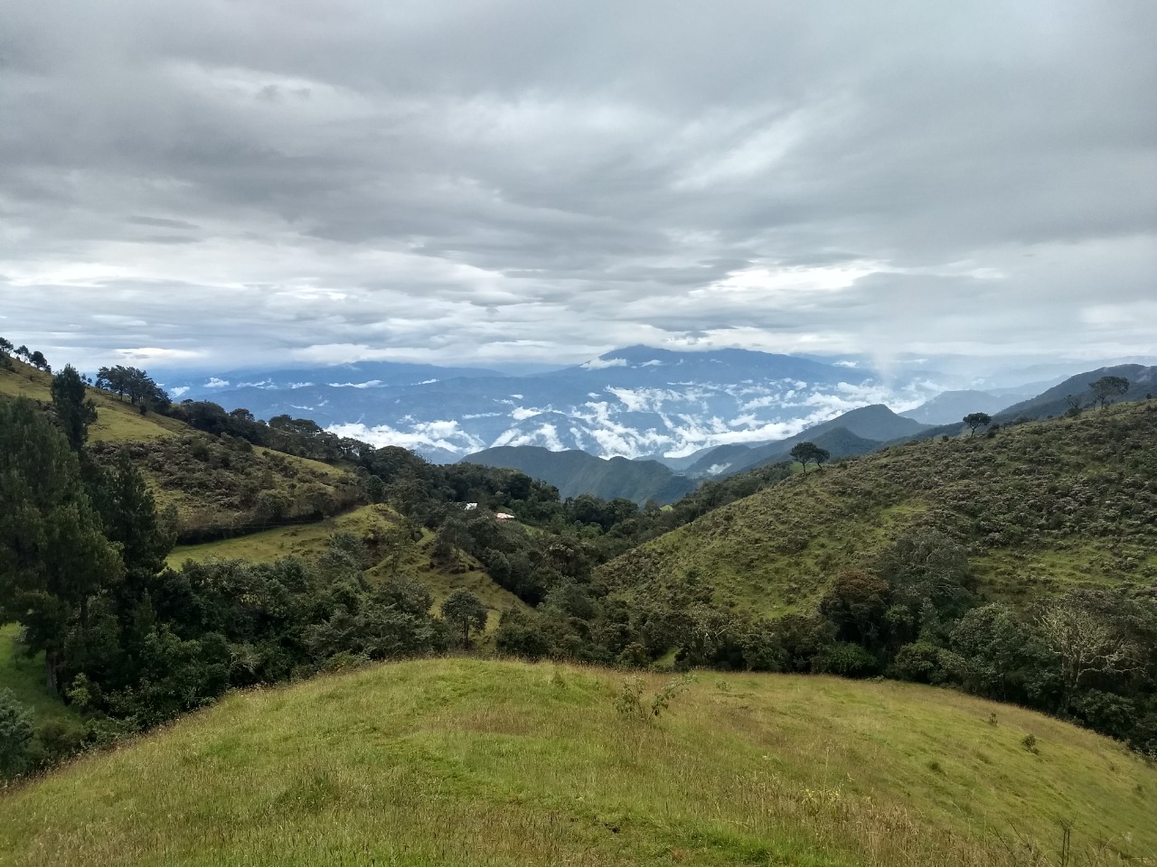 Paramo Cerro Negro, municipio de Los Andes.