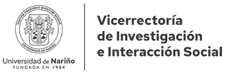 logo_viis_udenar_movil_150x150.fw