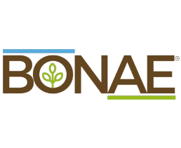 bonae