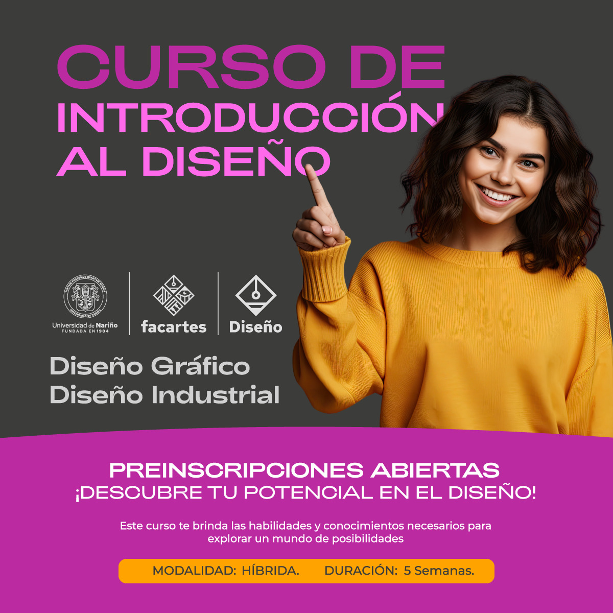 Curso Diseno