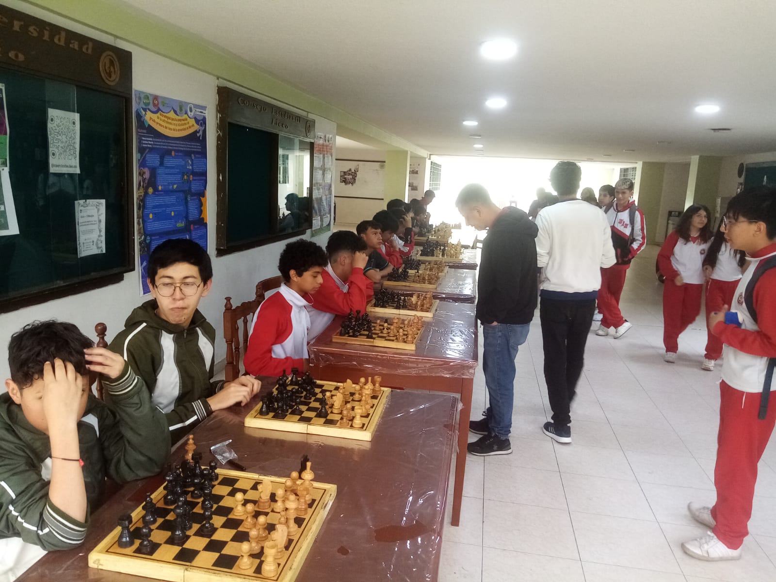 DE (15)