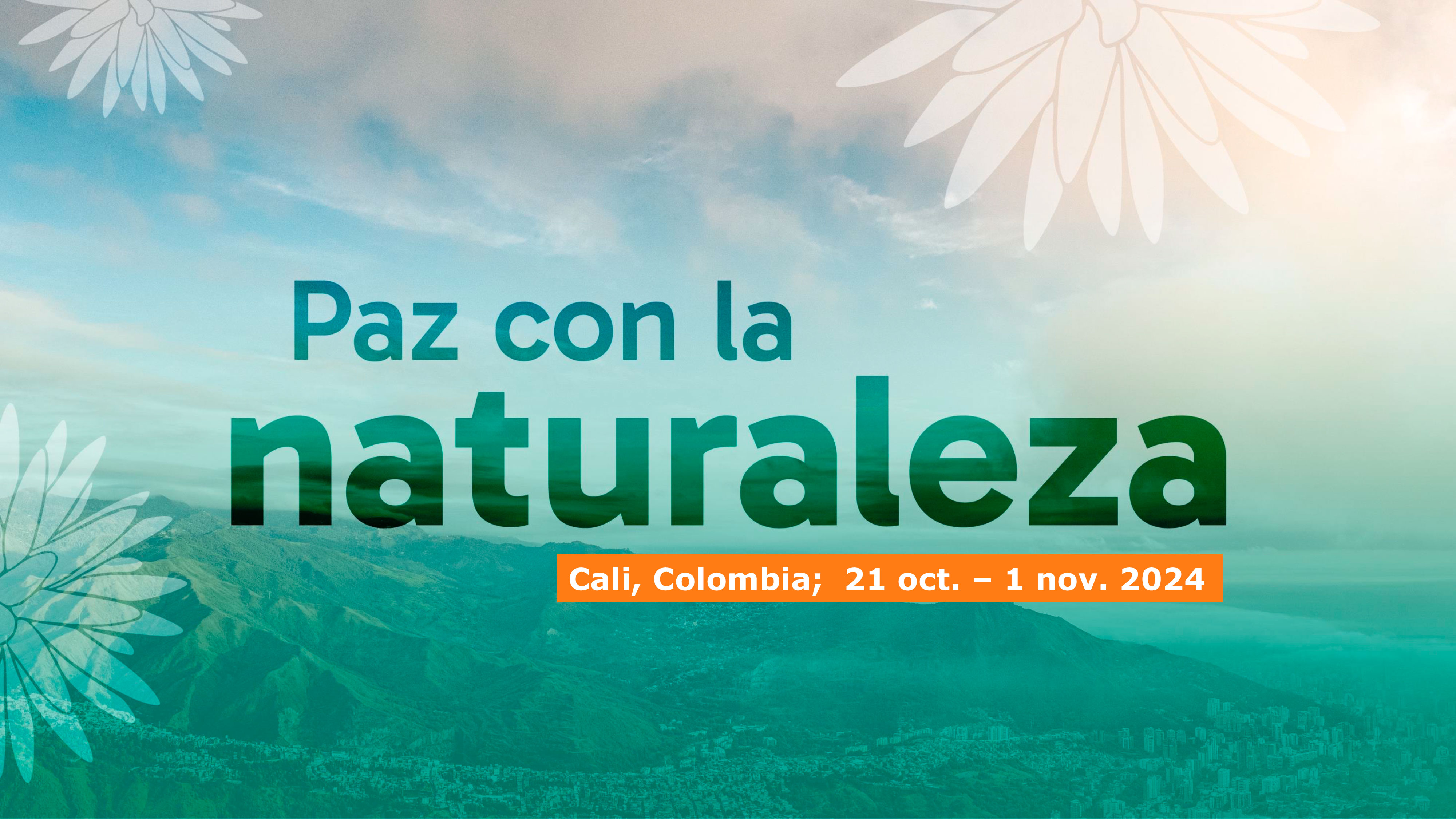 Presentación-General-COP-16-1
