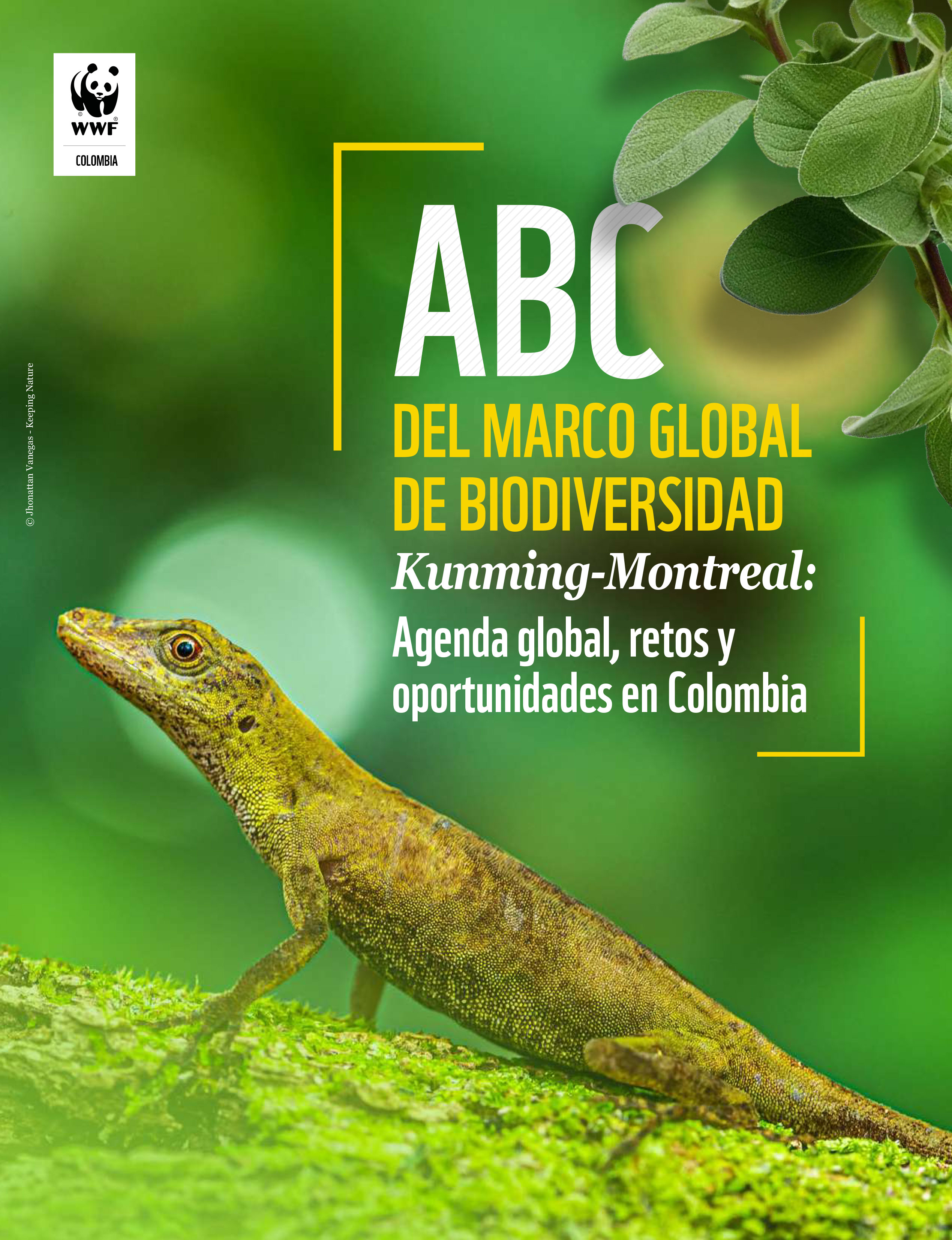 abc-del-marco-global-de-biodiversidad-kunming-montreal-cop16-1