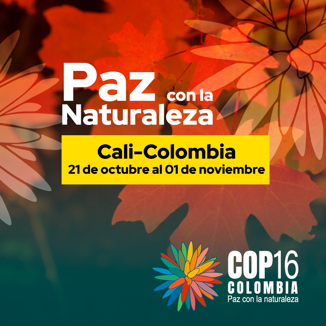 COP16 COLOMBIA: “Paz con la Naturaleza” (21 de octubre al 01 de noviembre)