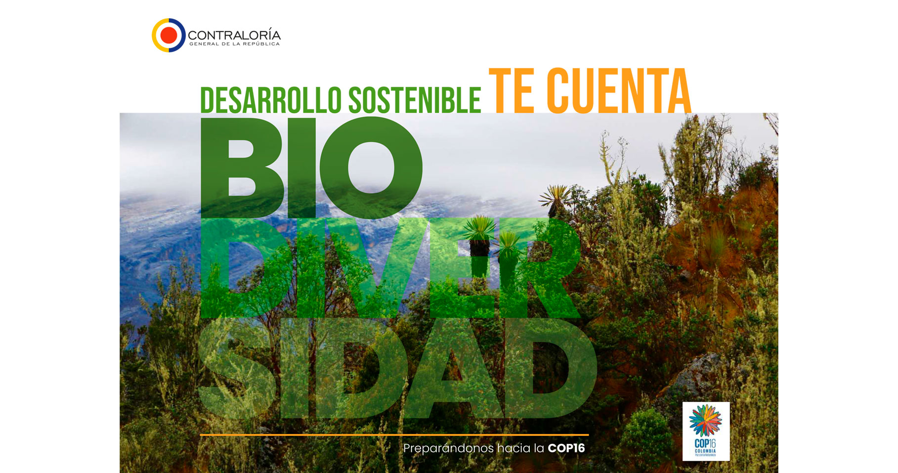 destacada_desarrollo