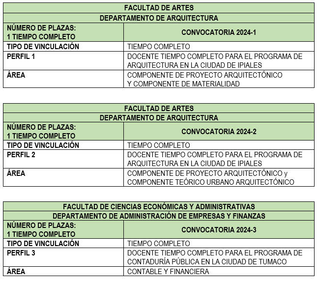 perfilesdocentes1