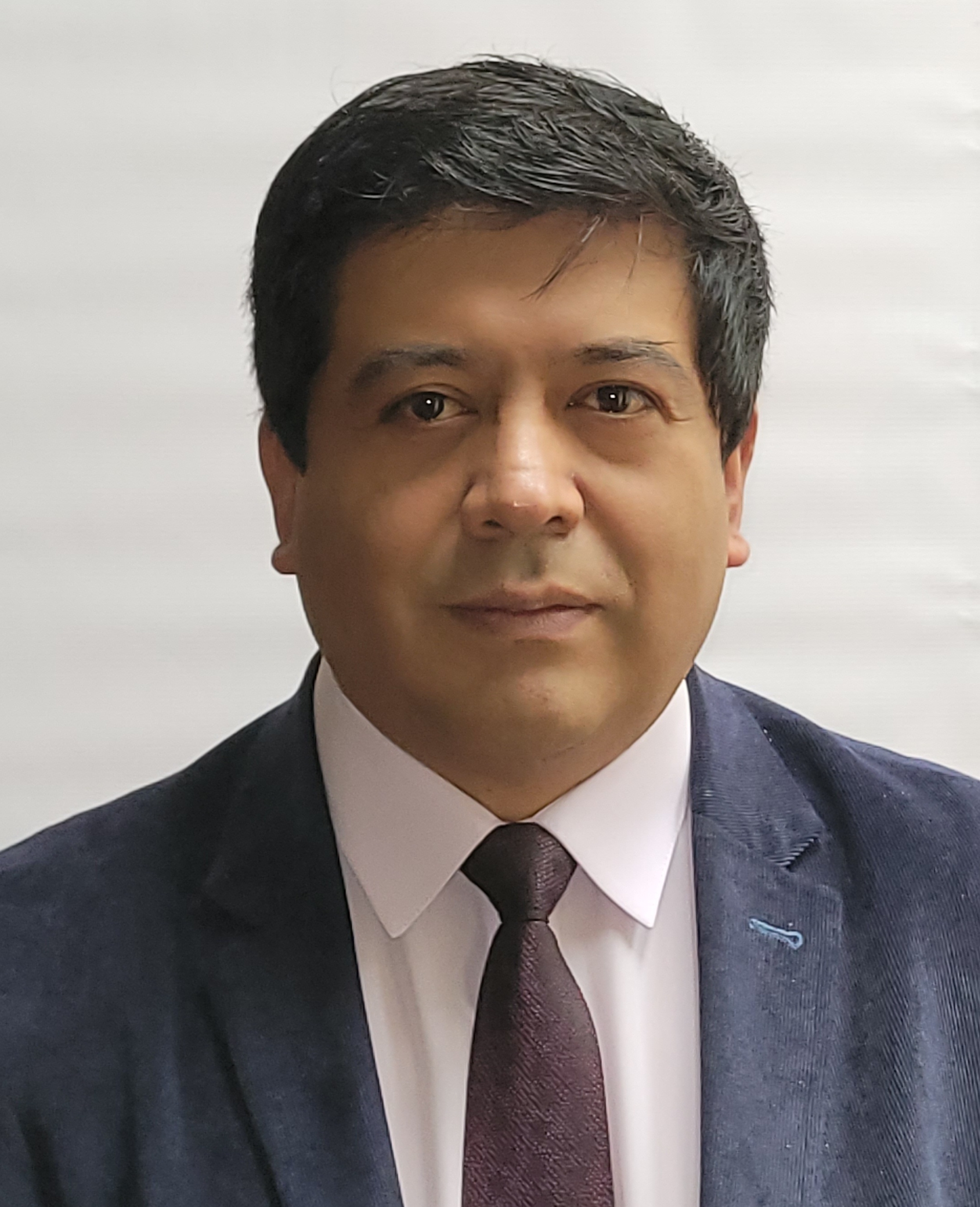 Ronal Gilberto Bastidas Gustín