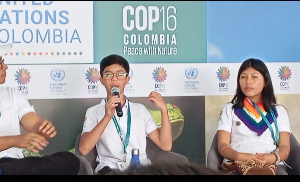 COP16 (2)