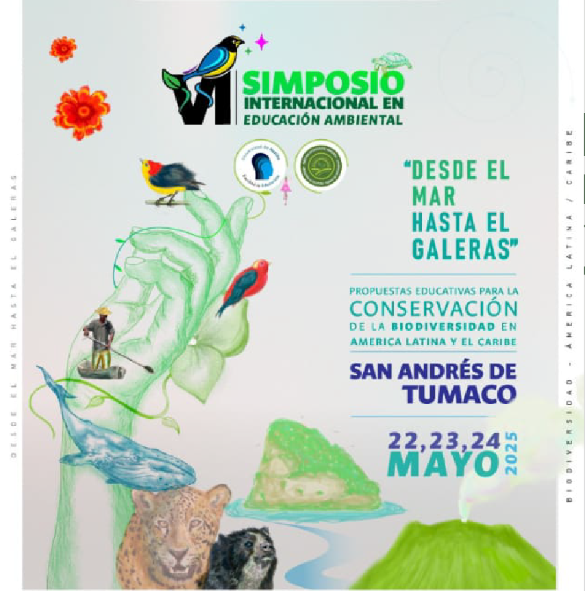 imgd_Mesa de trabajo 1