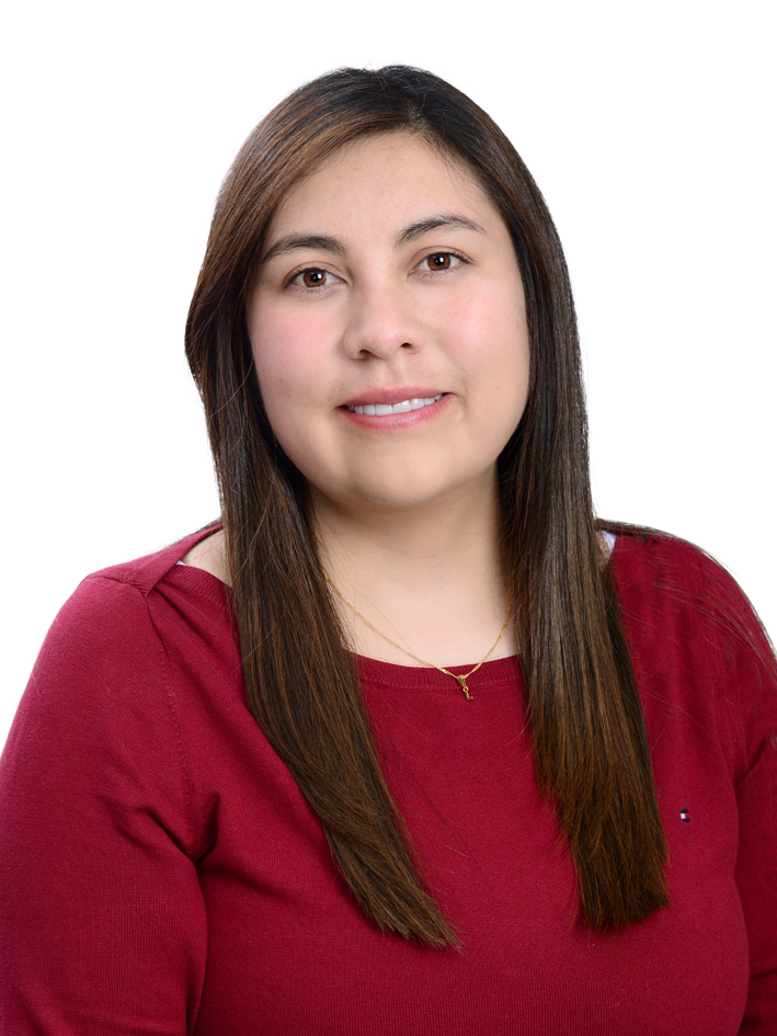 Lizeth Johanna Villota González