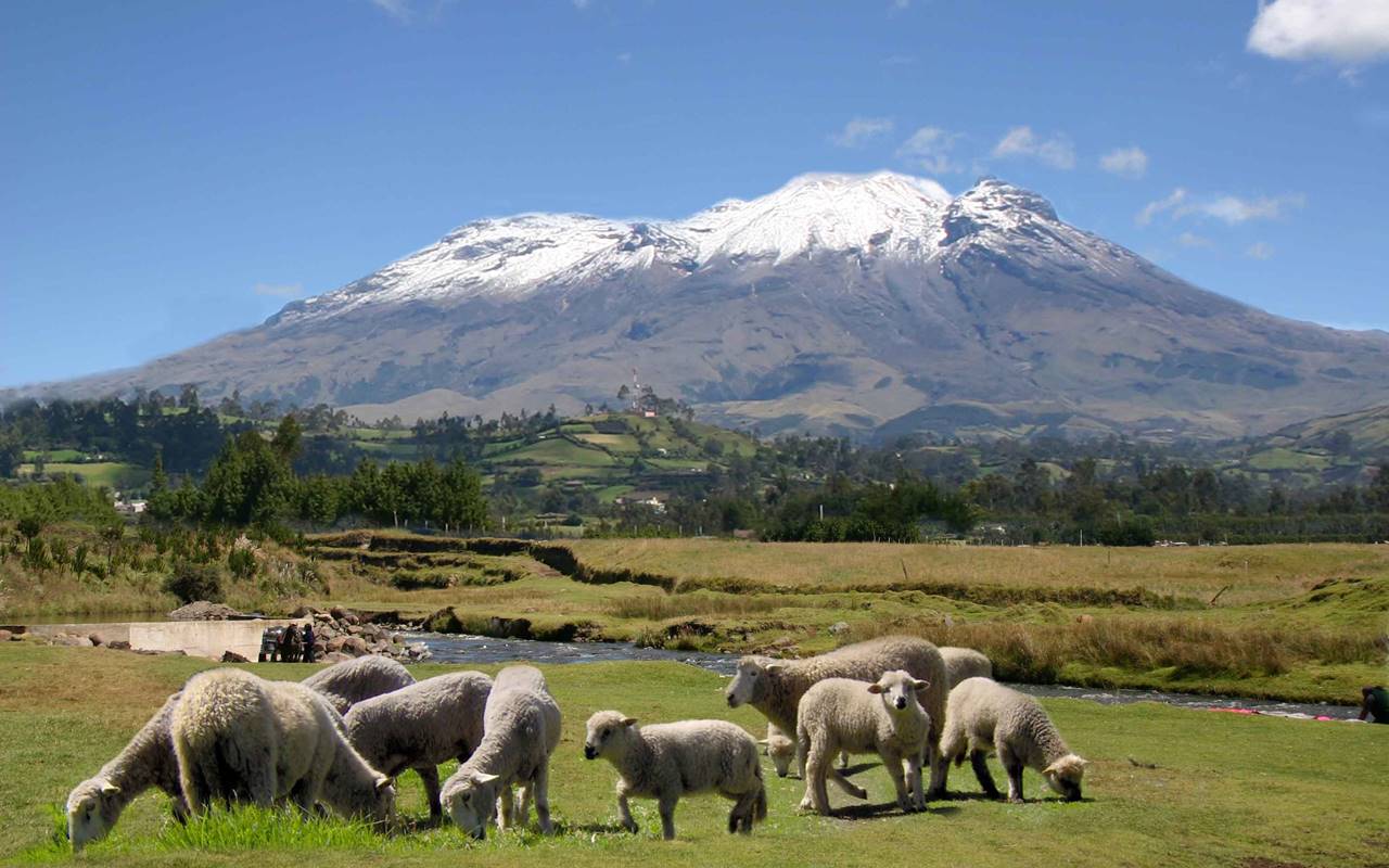 Volcan Cumbal XIV SiCCat
