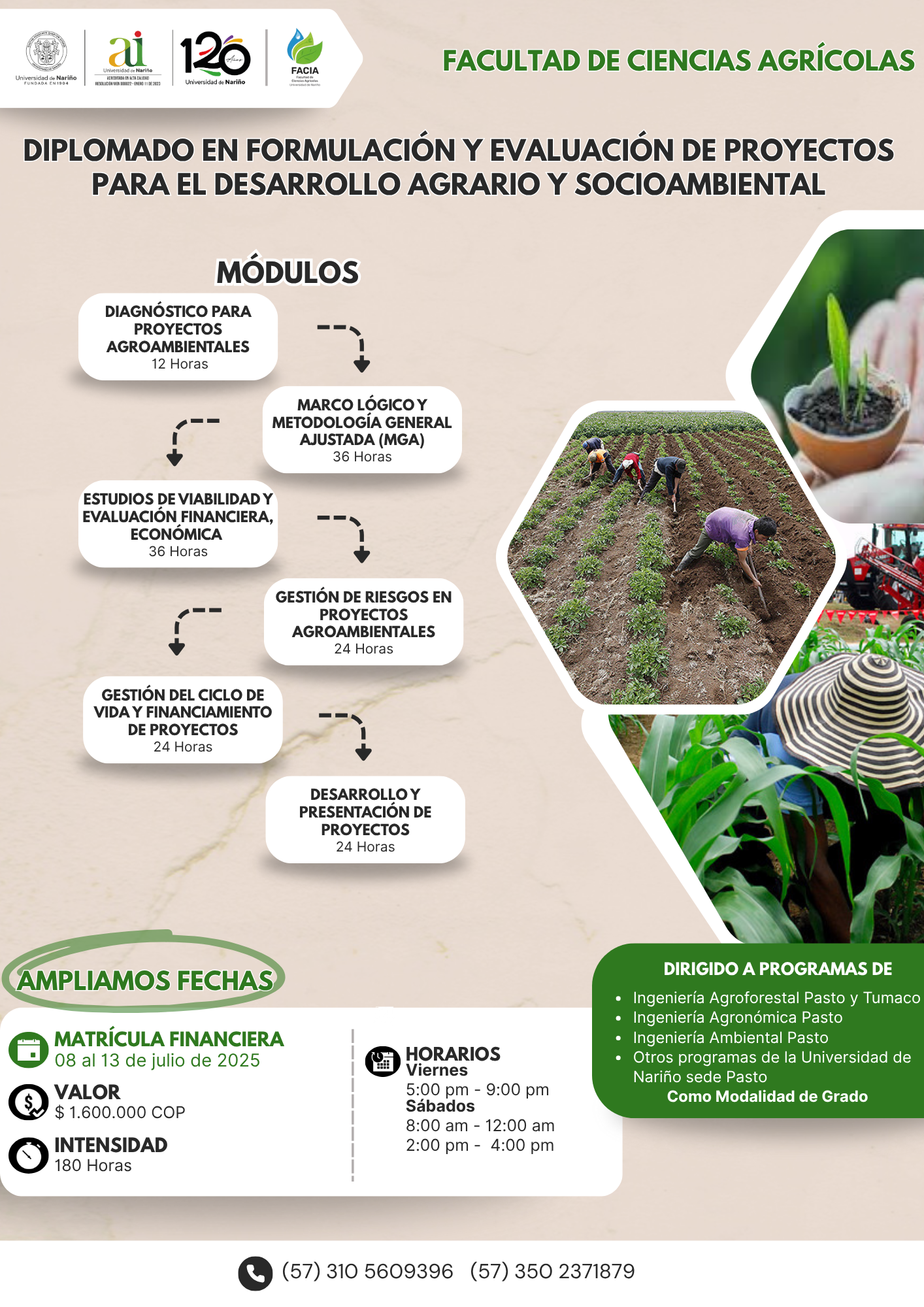 Diplomado Formulación y Evaluación de Proyectos FACIA