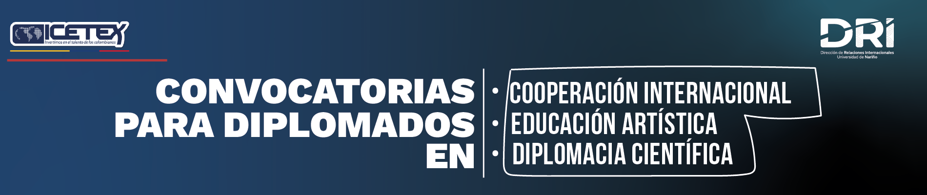 convocatoria para diplomados DRI