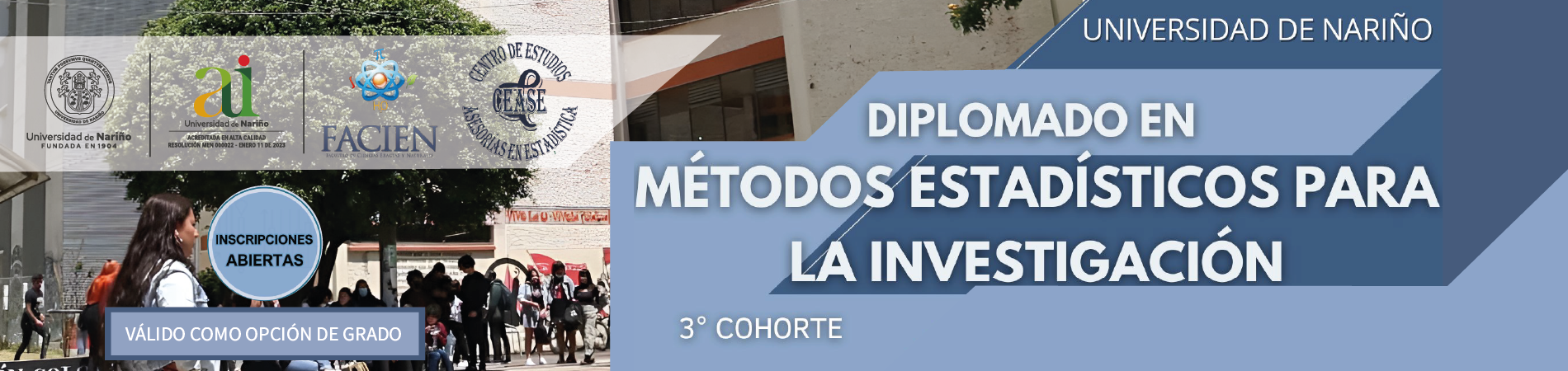 banner Diplomado en Métodos Estadísticos para la Investigación