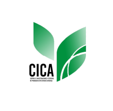 Logo Grupo CICA