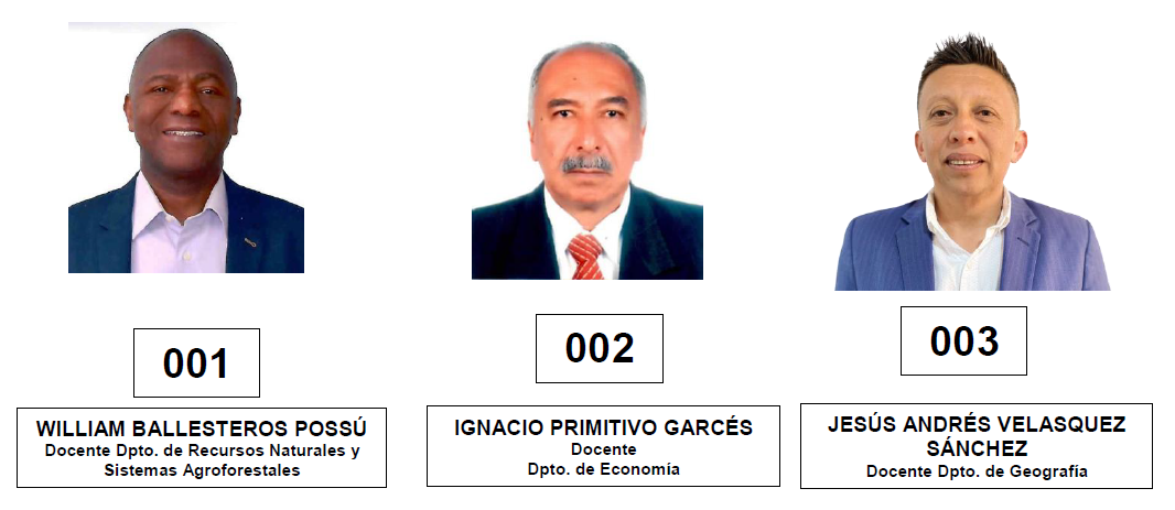 Candidatos a Representante Profesoral Consejo Superior Universitario
