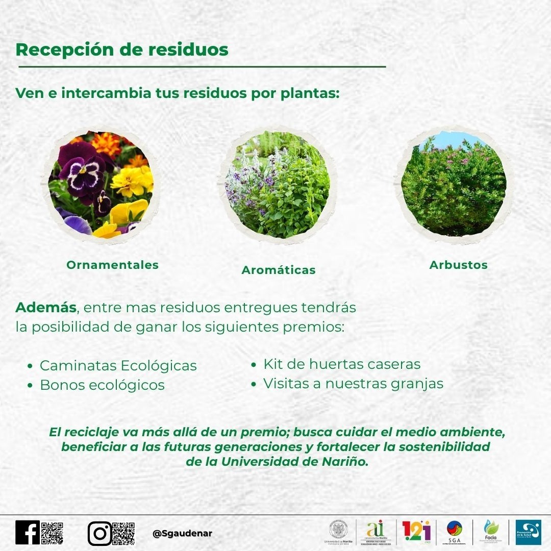 Reciclaton Udenar 5