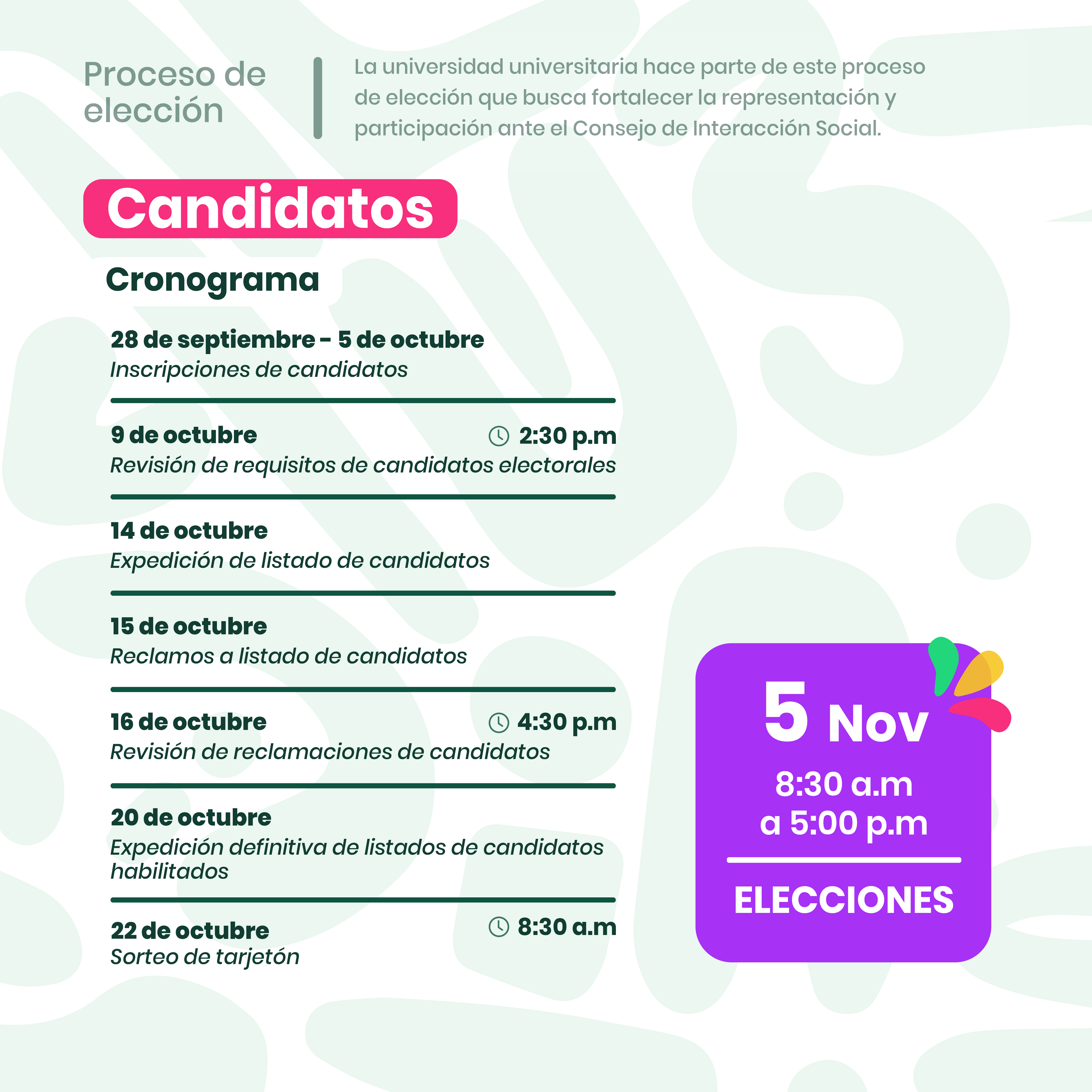 Imagen 6