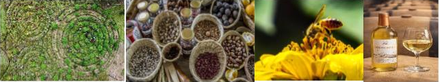 Gira 1: Corredor Agroecológico Urkunina
