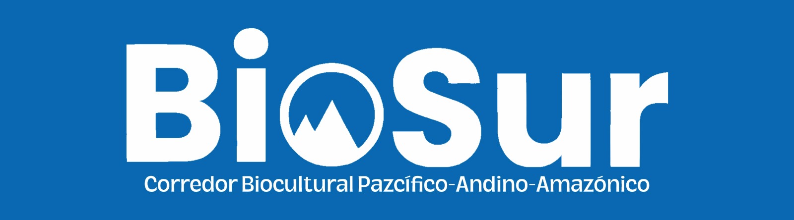 logobiosur